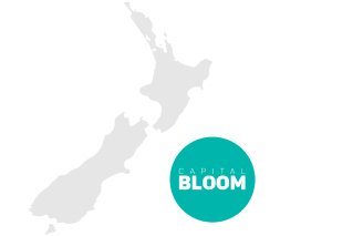 2010 Divisa Capital LP (now Bloom Capital LP) registers on New Zealand's FSP 15201